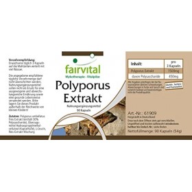 Fairvital | Polyporus extrait 500mg VEGAN - Fortement dosé - 90 capsules - extrait de champignon normalisé aux polysaccharide