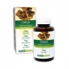 Chaga ou Polypore oblique Inonotus obliquus champignon Naturalma | 150 g | 300 comprimés de 500 mg | Complément alimentaire