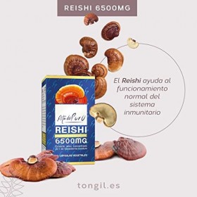 Reishi Lot de 60 capsules de 6500 mg de cravate