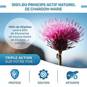 Chardon-Marie 100% Silybine Haute Pureté - Absorption 5 FOIS supérieure à Silymarine via Etude - Cure détox du foie et digest