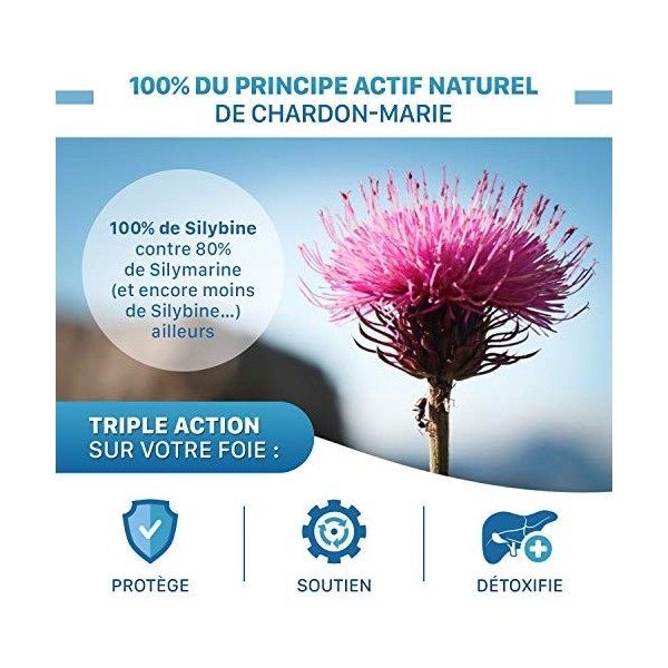 Chardon-Marie 100% Silybine Haute Pureté - Absorption 5 FOIS supérieure à Silymarine via Etude - Cure détox du foie et digest