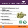 Chardon-Marie Bio 90 gélules spécial Digestion - Facilite le transit intestinal – Efficace en quelques jours – Chardon marie 