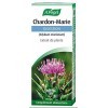 A.VOGEL - Chardon-Marie - Complément alimentaire à Base dExtrait de Plante - Actions Ciblées Digestion - Flacon 50 ml - Labo