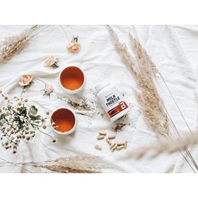 BioTechUSA Milk Thistle Des capsules contenant des extraits de fruit du chardon-Marie en complément alimentaire, 60 capsules