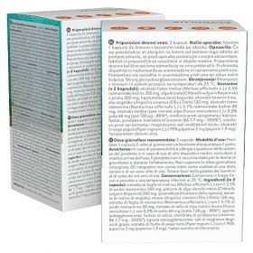 Estrolux gélules Détox Œstrogénique - Iode, Chlorella, Mélisse, Vitamine B6, Algues brunes - Produit naturel qui équilibre le