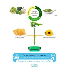 Metostop 100 capsules – Détoxification métaux lourds brevetée – Synergie d’actifs naturels Chlorella + Ail des ours + Acide l