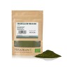 FRISAFRAN - Chlorelle BIO en Poudre 200Gr 