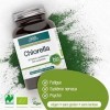 GSE Chlorella 240 cp