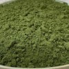 NULTHY - Chlorelle Poudre - Superfood - Culture Conventionnelle - Source de Protéines - Végétalien - 500 g