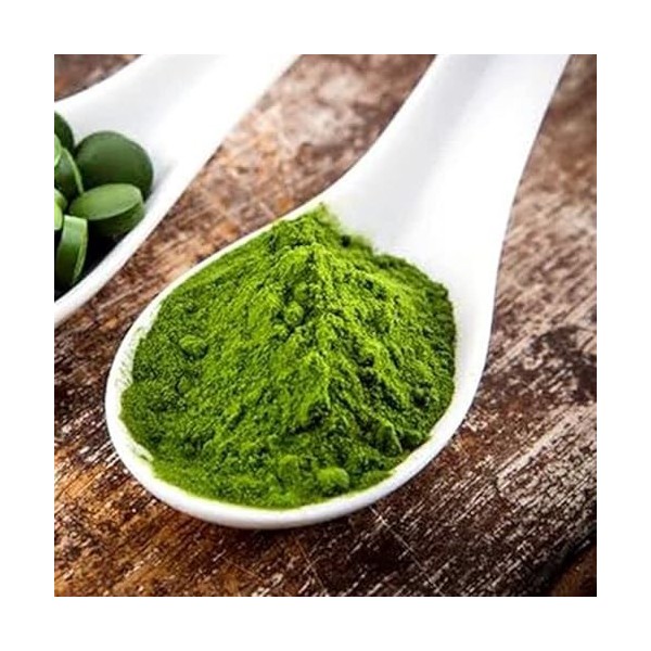 Rue des Plantes - Chlorella bio 120 gélules - capacité purifiante mais aussi celle d’absorber les toxines