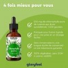 Gouttes de Chlorophylle, Liquide Sans Alcool, Chlorophylle Pure Liquide, 50ml 1500 gouttes . Chlorophylle Concentrée de Luze