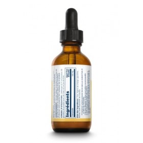 Solaray Chlorophylle 20x Liquide | Detox | Extrait de la feuille de murier | 59ml