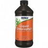 Now Foods, Liquid Chlorophyll, Saveur Menthe, 473 ml de Chlorophylle Liquide végétalienne, Testé en Laboratoire, Sans Gluten,