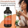 Now Foods, Liquid Chlorophyll, Saveur Menthe, 473 ml de Chlorophylle Liquide végétalienne, Testé en Laboratoire, Sans Gluten,