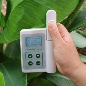 TYS-A Compteur de chlorophylle, analyseur de chlorophylle portable, testeur de chlorophylle portable numérique avec écran LCD
