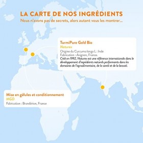 Curcuma BIO Breveté | Garanti sans Pipérine ni Poivre Noir | Curcumine Haute Absorption x24 via Etudes Cliniques | Curcuma en