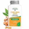 CURCUMA PREMIUM I 5400 MG Plantes Curcuma I 95% Curcuminoïdes I BREVETE I SANS Pipérine | Haute Concentration I Biodisponibil