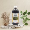 Floralpina - Elixir du suédois Maria Treben 500ml - Recette originale de Maria Treben - Fabrication Française