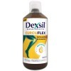 Dexsil – Curcuflex – Combinaison de Bioactivated Silicium et de curcumine pour la souplesse des articulations et des muscles 