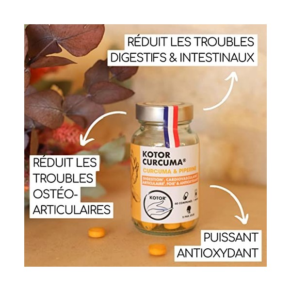 KOTOR CURCUMA BIO  Anti Inflammatoire et Oxydant, Douleurs Articul