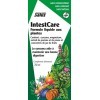 Salus IntestCare® - Formule Liquide - Digestion et Sphère Intestinale - À Base de Curcuma, Magnésium et Artichaut - 250 ml