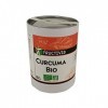 Fructivia Curcuma Poudre Bio