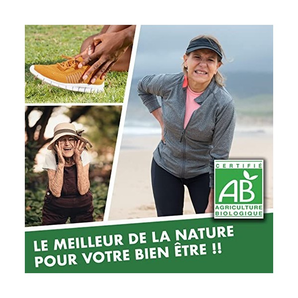 Curcuma Ortie et Poivre Noir Bio, Antioxydant, 60 Gélules végétales. Confort articulaire et digestif. Renforce la vitalité. F