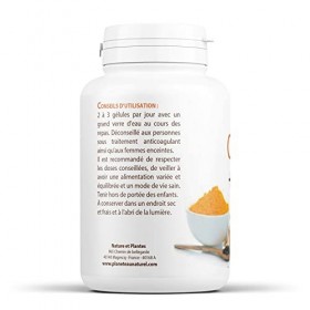 CURCUMA, GINGEMBRE ET POIVRE NOIR 350 mg 200 GÉLULES VÉGÉTALES