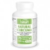 Curcuma Naturel 2500g par jour - Puissant Antioxydant - Propriétés Anti-Inflammatoire et Immunitaires - Normalisé à 95% de cu