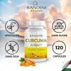 BANDINI® Extrait de curcuma - 120 gélules - la teneur en curcuma dUNE gélule correspond à environ 700 mg de poudre de curcum