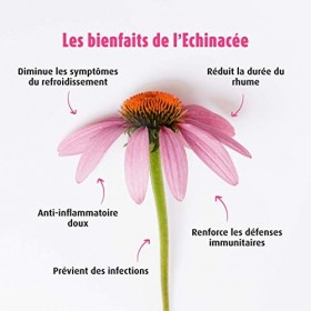 A.VOGEL - Echinaforce® Enfant Arôme Orange - Complément Alimentaire à Base dExtrait de Plante Fraîche d’Échinacée Purpurea B