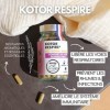 KOTOR RESPIRE | Libère les Voies Respiratoires | Rhume, Nez, Gorge, Toux | Eucalyptus + Thym + Plantain + Curcuma + Echinacea