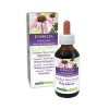 ÉCHINACÉE Echinacea angustifolia racines NATURALMA Teinture Mère sans alcool | Extrait liquide gouttes 100 ml | Défenses de