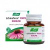 A.VOGEL Echinaforce® Forte IMMUNE- à Base dExtrait de Plante Fraîche d’Échinacée Purpurea Bio - Actions Ciblées lImmunité -