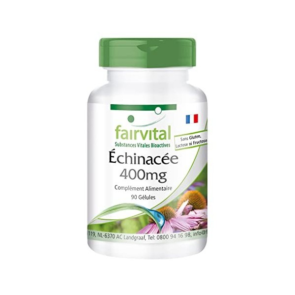 Fairvital | Echinacea 400mg VEGAN - Fortement dosé - 90 capsules - Echinacea purpurea