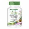 Fairvital | Echinacea 400mg VEGAN - Fortement dosé - 90 capsules - Echinacea purpurea