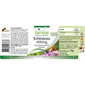 Fairvital | Echinacea 400mg VEGAN - Fortement dosé - 90 capsules - Echinacea purpurea