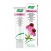 BIOFORCE - ECHINACEA 35gr de crème. BIOFORCE