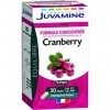 JUVAMINE - Equilibre - Formule Concentrée Cranberry - Vegan - Cranberry - 60 Unité