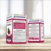 JUVAMINE - Equilibre - Formule Concentrée Cranberry - Vegan - Cranberry - 60 Unité