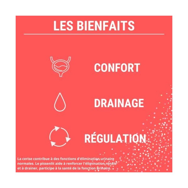 FORMULE CONFORT URINAIRE | Cranberry Psyllium Cerise Pissenlit | Complement alimentaire | Confort, Drainage, Régulation | 60 