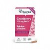 Vitavea - Cranberry Extraits de Fruits - Sphère urinaire - Formule concentrée 37,5 mg PACs - 30 gélules végétales - Fabriqué 