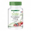 Fairvital | Cranberry 400mg - fortement dosé - VEGAN - extrait de Canneberge 25:1 avec 30000mg de Canneberge - 90 gélules -