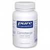 Pure Encapsulations - Canneberge - Extrait Végétal de Canneberge - Antioxydant pour Bien-Être des Femmes - Hautement Absorbab