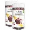 ARKOPHARMA - Gummies Phyto Cranberry - Lot de 2 boites de 60 Gummies