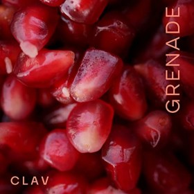 Extrait de Grenade - Antioxydant Puissant - Riche en Polyphenols et 40% Acide Ellagique - 60 Gélules - Sans Additifs + Vegan