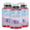 Gummea Immunité Pack de 3X60 Gummies | À Base de Fleur de Sureau, dÉchinacée, de Propolis, de Vitamine C et de Zinc | Un All