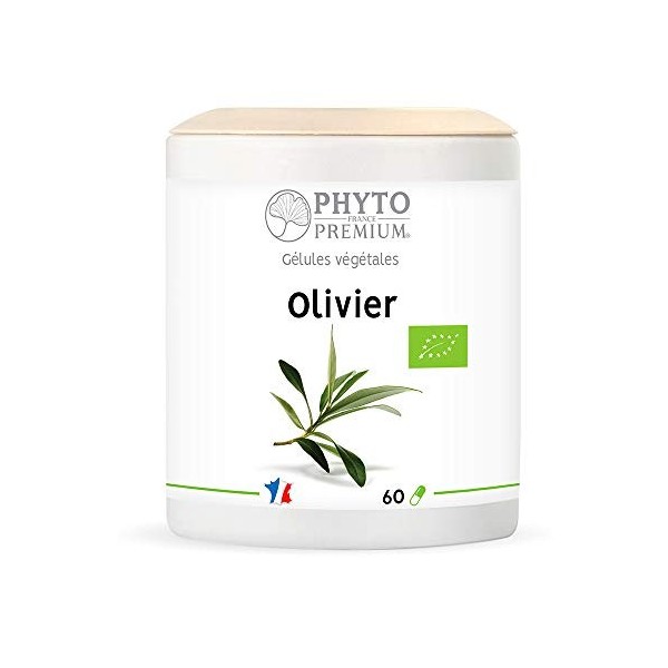 OLIVIER feuille – Olea europea – 60 gélules 200 MG BIO 