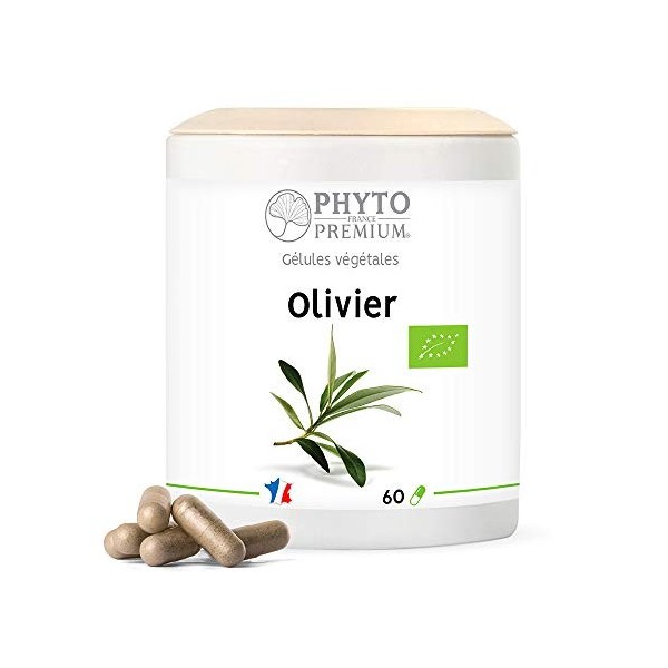 OLIVIER feuille – Olea europea – 60 gélules 200 MG BIO 