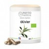 OLIVIER feuille – Olea europea – 60 gélules 200 MG BIO 